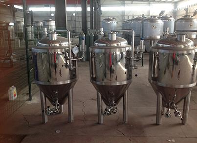 50l fermenter